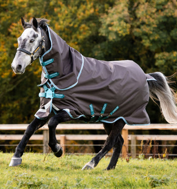 Horseware Ireland Amigo Bravo 12 Plus with Disk Front Closure Turnout Lite (Og)
